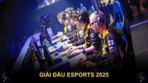 Giải Đấu Esports 2025 Cơ Hội Tranh Tài Dành Cho Game Thủ